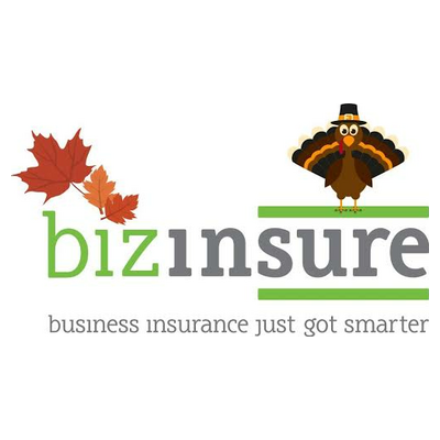 bizinsure Logo