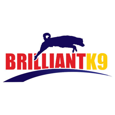 brilliantk9 Logo