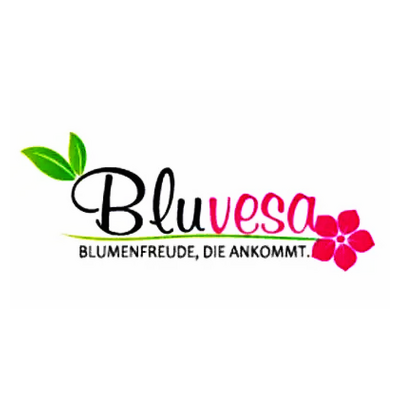 bluvesa Logo