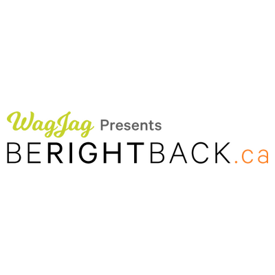 berightback Logo