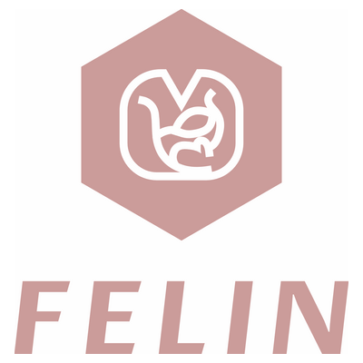 felinstore Logo