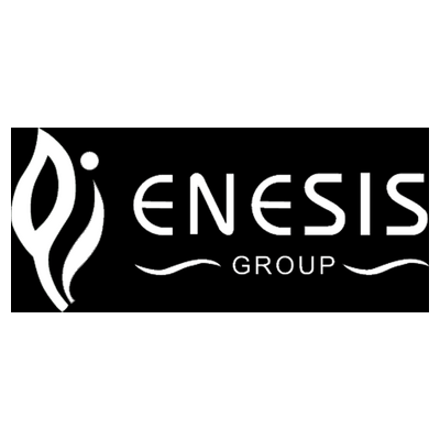 enesis Logo