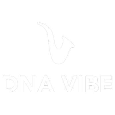 dnavibe Logo