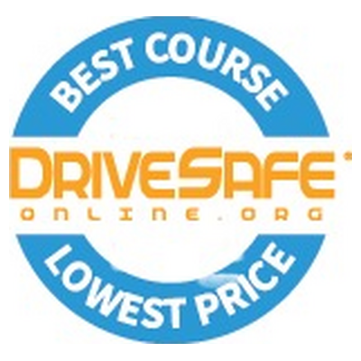 drivesafeonline Logo