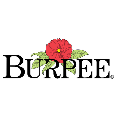 burpee Logo