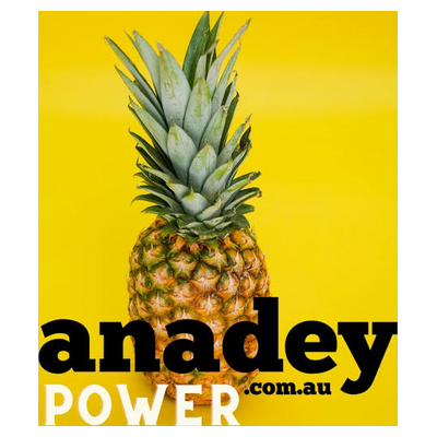 anadey Logo