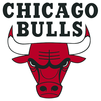 bulls Logo